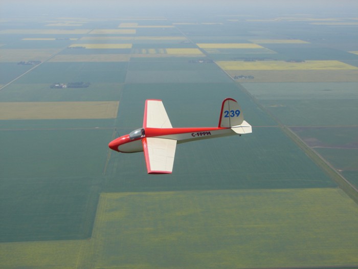 Schwiezer SGS 1-26